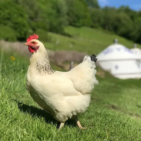Maison d'hôtes Yourtes De Barousse Insolite Créchets